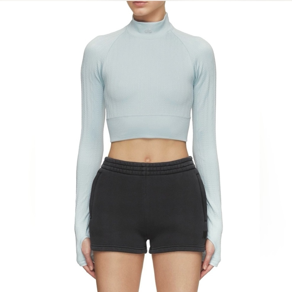 Alo Seamless Cable Knit Long Sleeve Crop Top